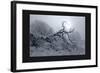 Silver Tone Buffalo River 2-Gordon Semmens-Framed Giclee Print