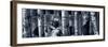 Silver Tone Moon Shadows 2-Gordon Semmens-Framed Photographic Print