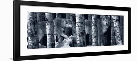 Silver Tone Moon Shadows 2-Gordon Semmens-Framed Photographic Print