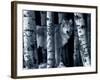 Silver Tone Moon Shadows-Gordon Semmens-Framed Photographic Print