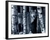 Silver Tone Moon Shadows-Gordon Semmens-Framed Photographic Print