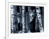 Silver Tone Moon Shadows-Gordon Semmens-Framed Photographic Print