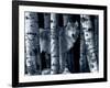 Silver Tone Moon Shadows-Gordon Semmens-Framed Photographic Print