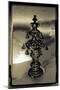 Silver Torah Handle, 2015-Joy Lions-Mounted Premium Giclee Print