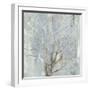 Silver Tree-Allison Pearce-Framed Art Print