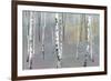 Silver Trees II-Tania Bello-Framed Giclee Print