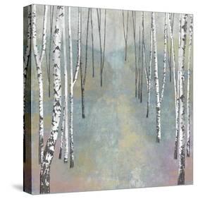 Silver Trees Path I-Tania Bello-Stretched Canvas