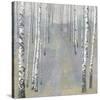 Silver Trees Path II-Tania Bello-Stretched Canvas