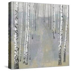 Silver Trees Path II-Tania Bello-Stretched Canvas