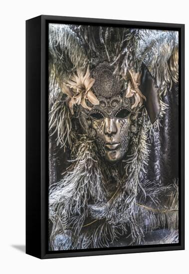 Silver Venetian mask feathers, Venice, Italy. Used since 1200's for Carnival.-William Perry-Framed Stretched Canvas