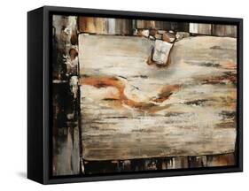 Silver Wash-Sydney Edmunds-Framed Stretched Canvas