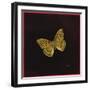 Silver Washed Fritillary Butterfly, 2000-Amelia Kleiser-Framed Giclee Print