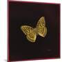 Silver Washed Fritillary Butterfly, 2000-Amelia Kleiser-Mounted Giclee Print