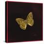 Silver Washed Fritillary Butterfly, 2000-Amelia Kleiser-Stretched Canvas