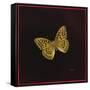 Silver Washed Fritillary Butterfly, 2000-Amelia Kleiser-Framed Stretched Canvas