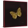 Silver Washed Fritillary Butterfly, 2000-Amelia Kleiser-Stretched Canvas