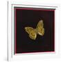 Silver Washed Fritillary Butterfly, 2000-Amelia Kleiser-Framed Giclee Print