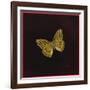 Silver Washed Fritillary Butterfly, 2000-Amelia Kleiser-Framed Giclee Print