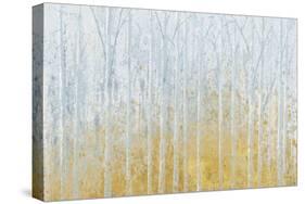 Silver Waters Crop No River Gold-James Wiens-Stretched Canvas