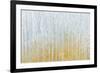 Silver Waters Crop No River Gold-James Wiens-Framed Art Print