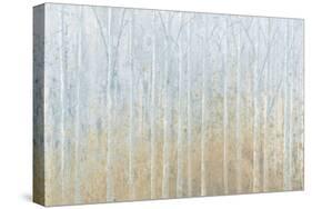 Silver Waters Crop No River-James Wiens-Stretched Canvas