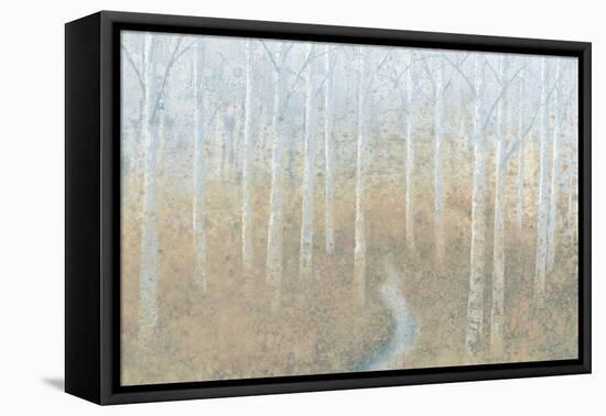 Silver Waters Crop-James Wiens-Framed Stretched Canvas