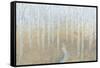 Silver Waters Crop-James Wiens-Framed Stretched Canvas