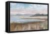 Silver Waters-Danhui Nai-Framed Stretched Canvas