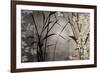 Silver Whispers II-Edward Aparicio-Framed Giclee Print