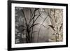 Silver Whispers II-Edward Aparicio-Framed Giclee Print