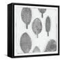 Silver Xmas-Maria Pietri Lalor-Framed Stretched Canvas