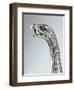 Silver Zoomorphic Spout of Coffee Pot from Milan, 1810-null-Framed Giclee Print