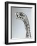 Silver Zoomorphic Spout of Coffee Pot from Milan, 1810-null-Framed Giclee Print