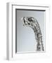 Silver Zoomorphic Spout of Coffee Pot from Milan, 1810-null-Framed Giclee Print