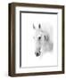 Silver-null-Framed Art Print