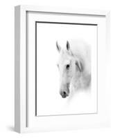 Silver-null-Framed Art Print