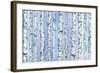 Silverbirch Forest-Elizabeth Rider-Framed Giclee Print