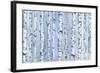 Silverbirch Forest-Elizabeth Rider-Framed Giclee Print