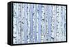 Silverbirch Forest-Elizabeth Rider-Framed Stretched Canvas