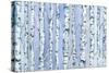 Silverbirch Forest-Elizabeth Rider-Stretched Canvas