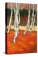 SilverBirch II-Graham Reynolds-Stretched Canvas