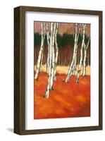 SilverBirch II-Graham Reynolds-Framed Art Print