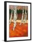 SilverBirch II-Graham Reynolds-Framed Art Print