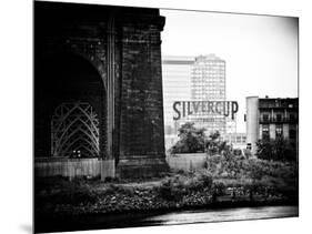 Silvercup Studios, Roosevelt Island for the Ed Koch Queensboro Bridge, Long Island City, New York-Philippe Hugonnard-Mounted Art Print