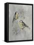 Silvered Aviary I-Naomi McCavitt-Framed Stretched Canvas