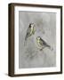 Silvered Aviary I-Naomi McCavitt-Framed Art Print