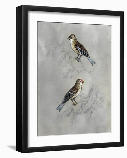 Silvered Aviary II-Naomi McCavitt-Framed Art Print