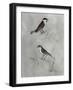 Silvered Aviary III-Naomi McCavitt-Framed Art Print