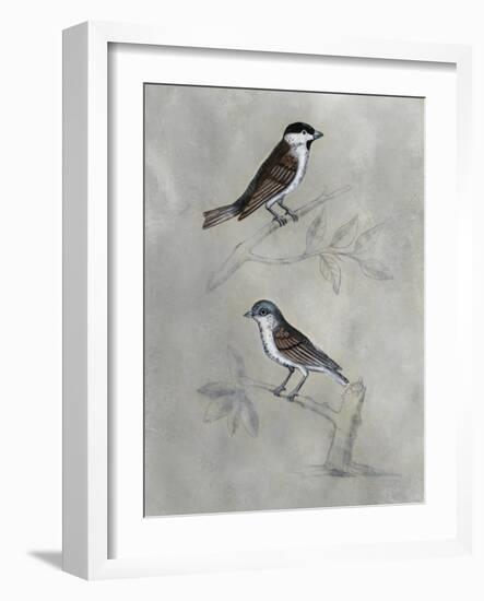 Silvered Aviary III-Naomi McCavitt-Framed Art Print