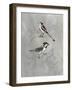 Silvered Aviary IV-Naomi McCavitt-Framed Art Print